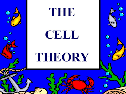 sc-6 sb-2-Cell Theoryimg_no 166.jpg